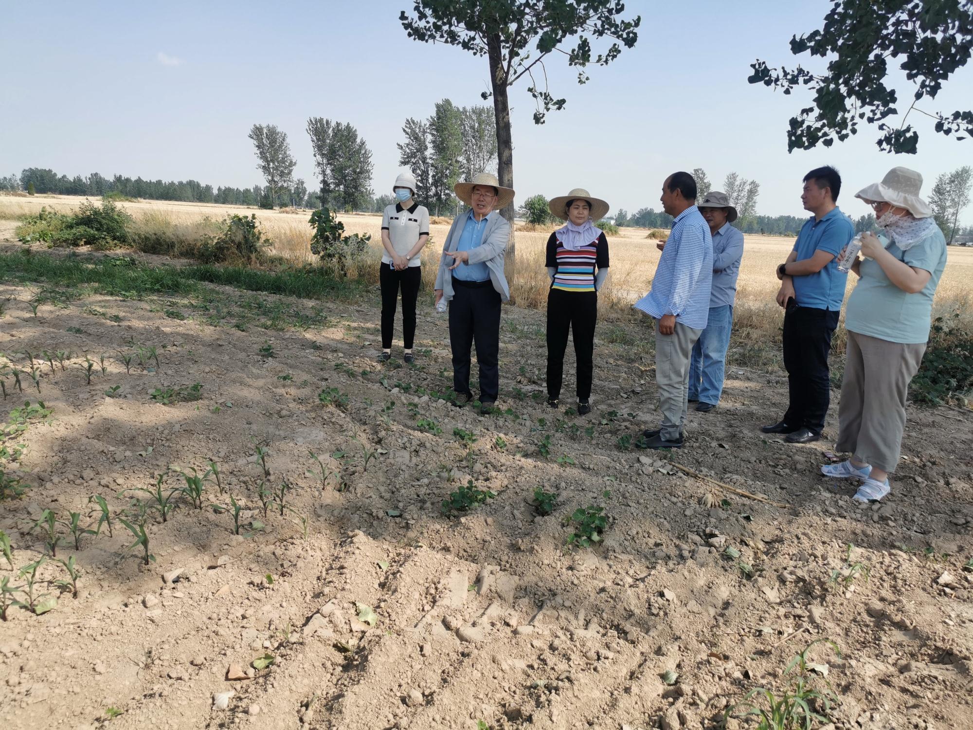 微信圖片_20220617111714.jpg 微信圖片_20220617111714.jpg