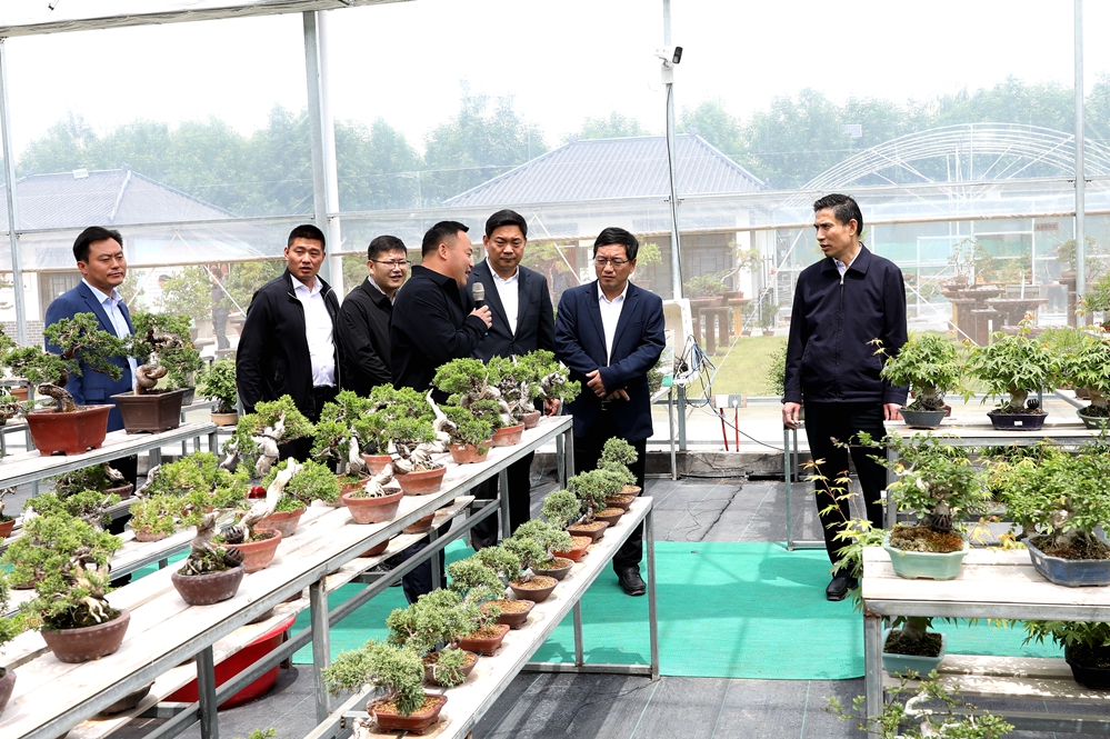 圖三:參觀臧圩盆景電商運(yùn)營中心.jpg 圖三:參觀臧圩盆景電商運(yùn)營中心.jpg